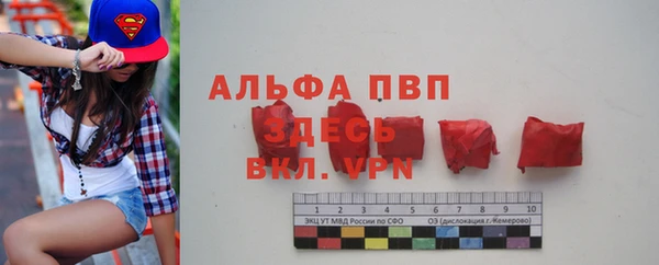 молекула духа Арсеньев