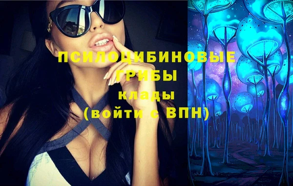 молекула духа Арсеньев