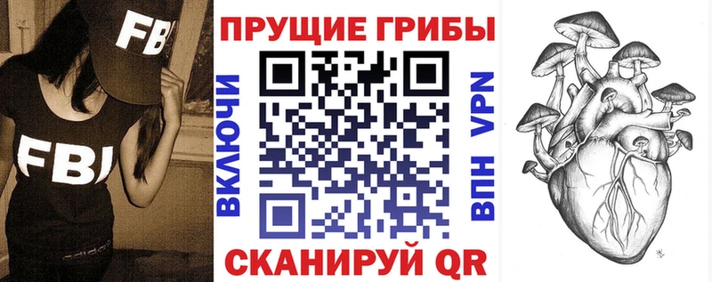 это наркотические препараты  закладки  Сергач  Псилоцибиновые грибы Psilocybine cubensis 
